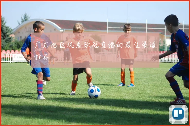 广东地区观看欧冠直播的最佳渠道推荐